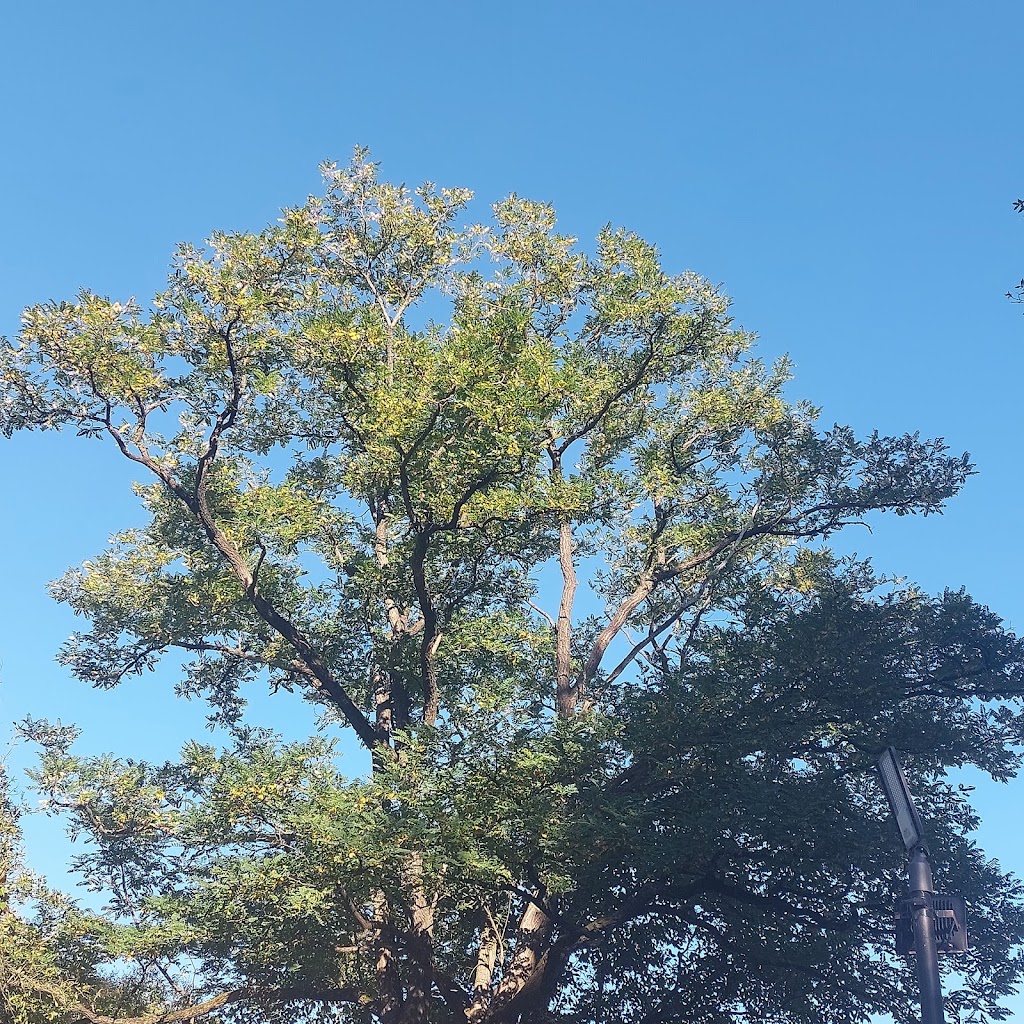 GSR Irun (Res. Inmaculada) — De los visitantes