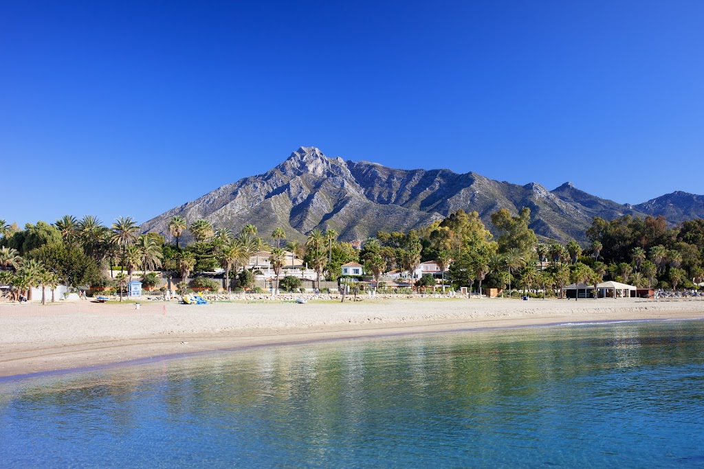 Daycare for Dogs Marbella