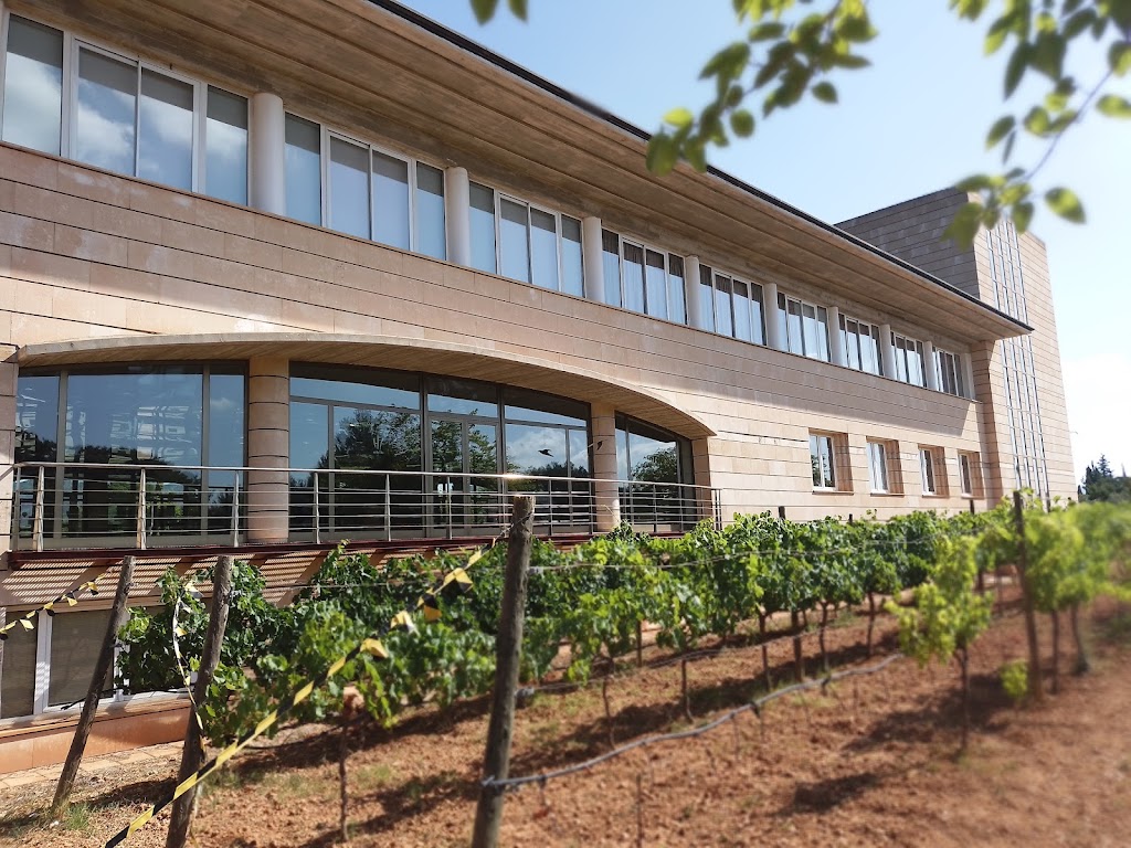 Facultad de Turismo (UIB)