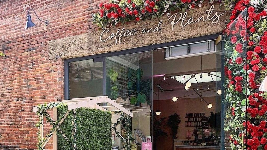 Photo of Coffee and Plants