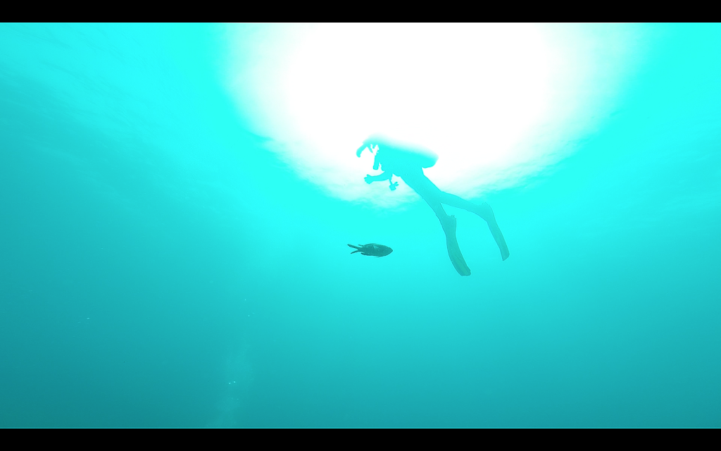 Club Buceomelilla - Asociacion Melillense Submarinismo