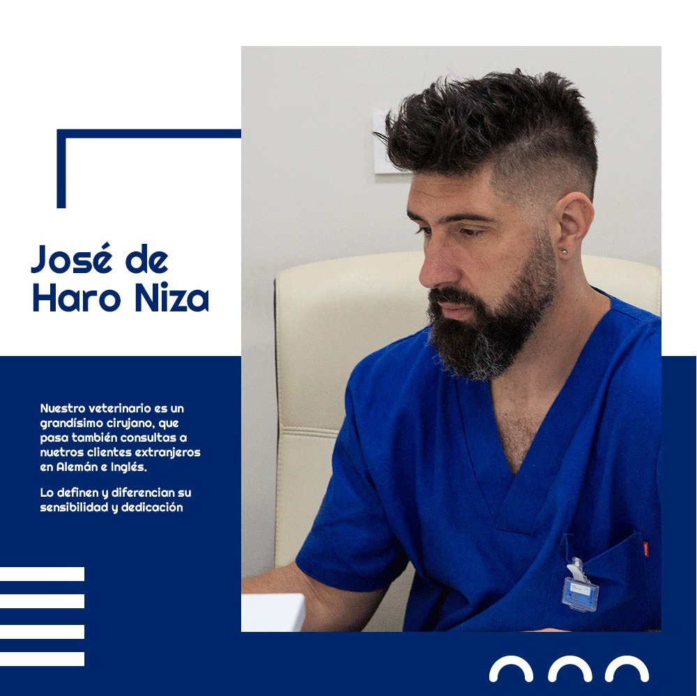 Clinica Veterinaria Montemar — Del propietario