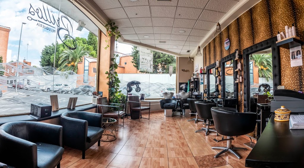 Peluqueria Brillos — Interior