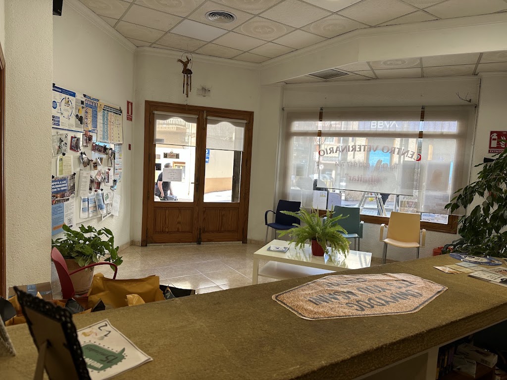 Centro Veterinario Albeitar | Veterinario Javea — Del propietario