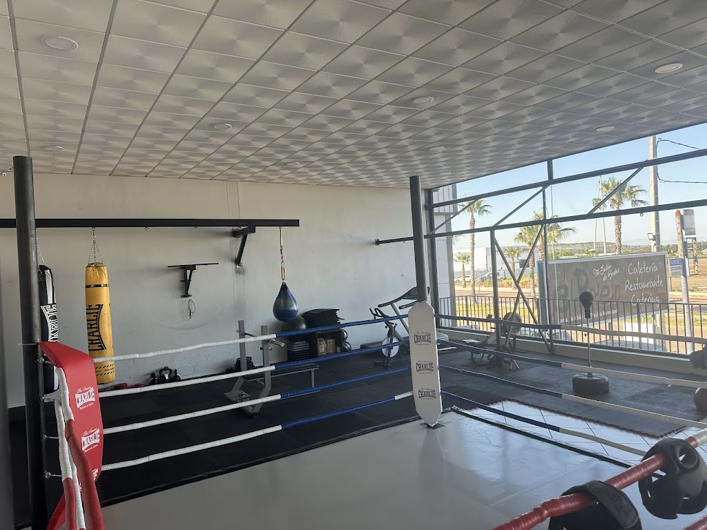 Next Level Combat Sports Academy