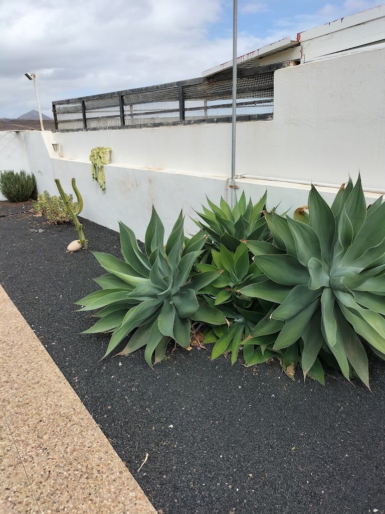 Apartamentos Flamboyant