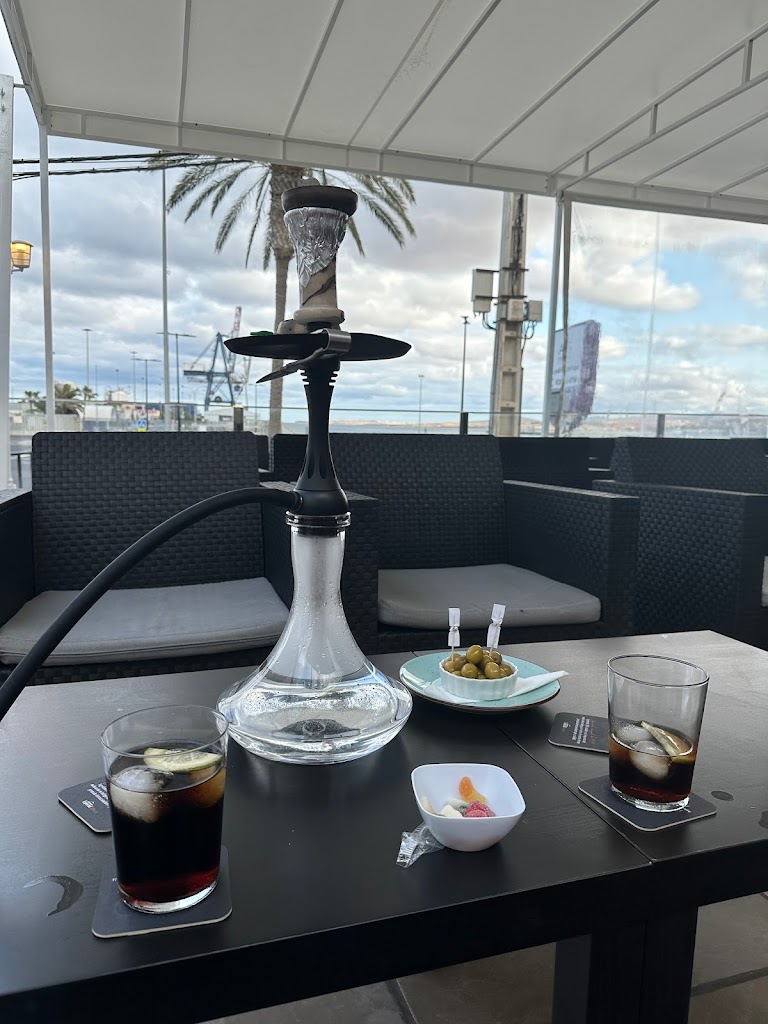 Savage Monkey Fuerteventura