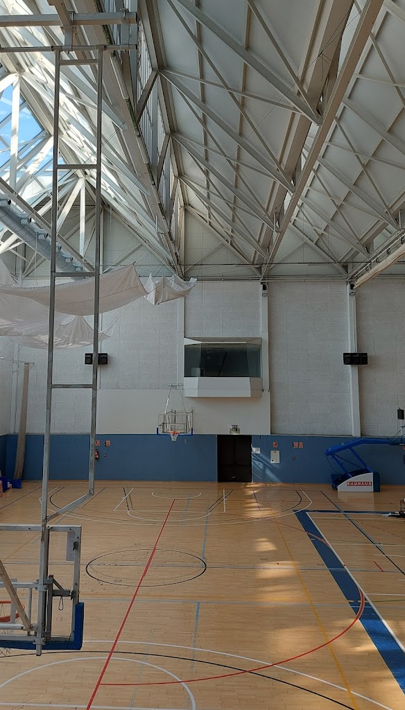 Polideportivo el Plantio