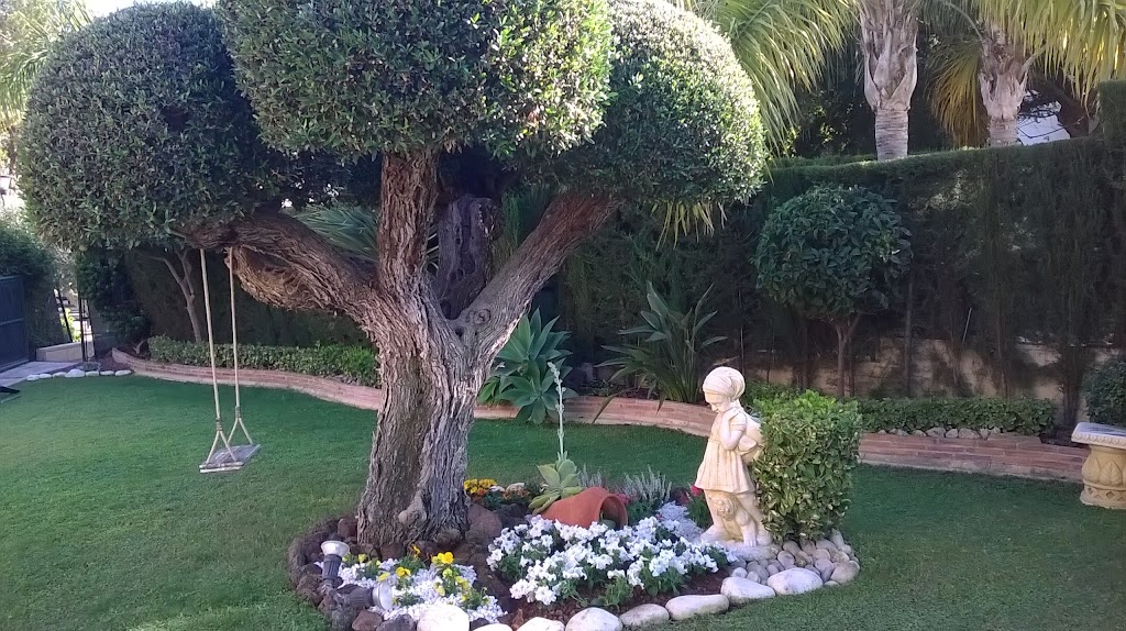 Caktus Mantenimiento y Servicios. Jardineros en El Campello. Limpeza de Piscinas. Inmobiliaria.