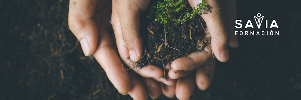 Savia Formacion