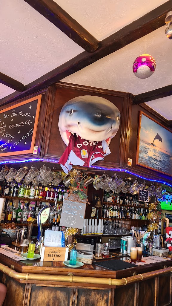 The Dolphin Inn Lanzarote — Ambiente