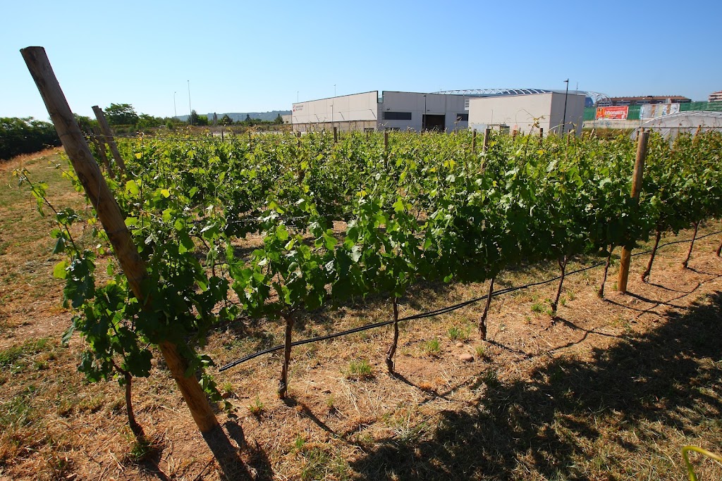 Campo de Experimentacion Agraria — Del propietario