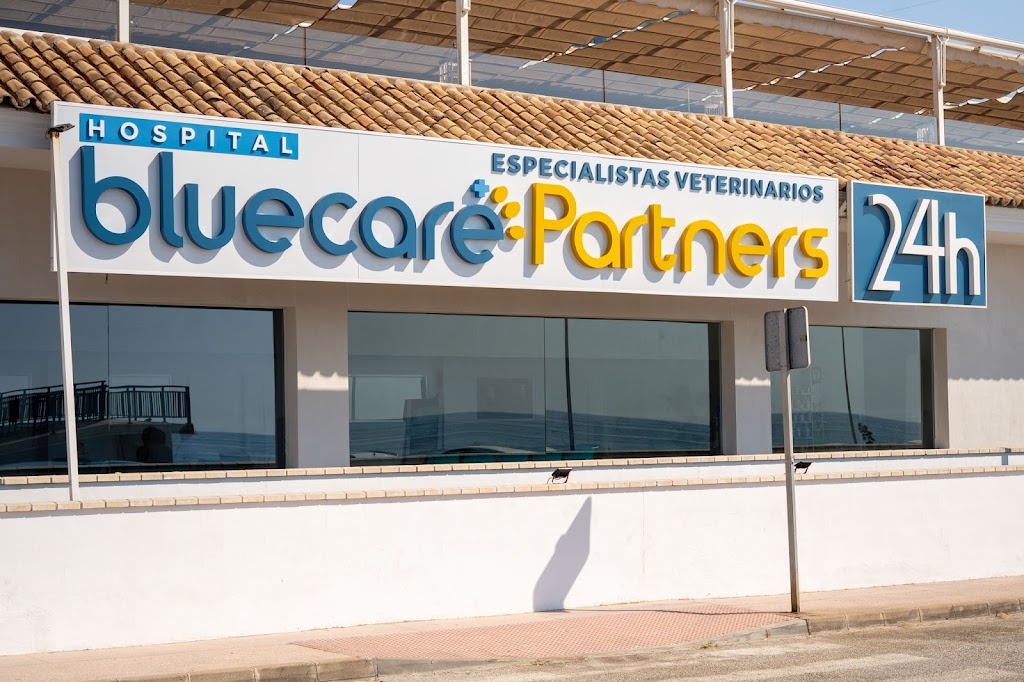 Hospital Veterinario 24h Bluecare Partners