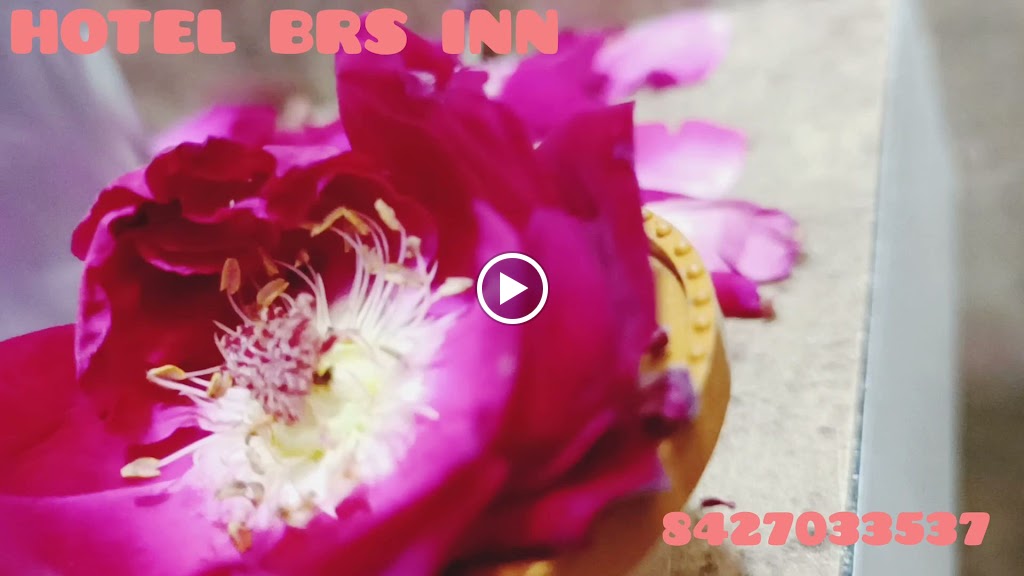 Videos