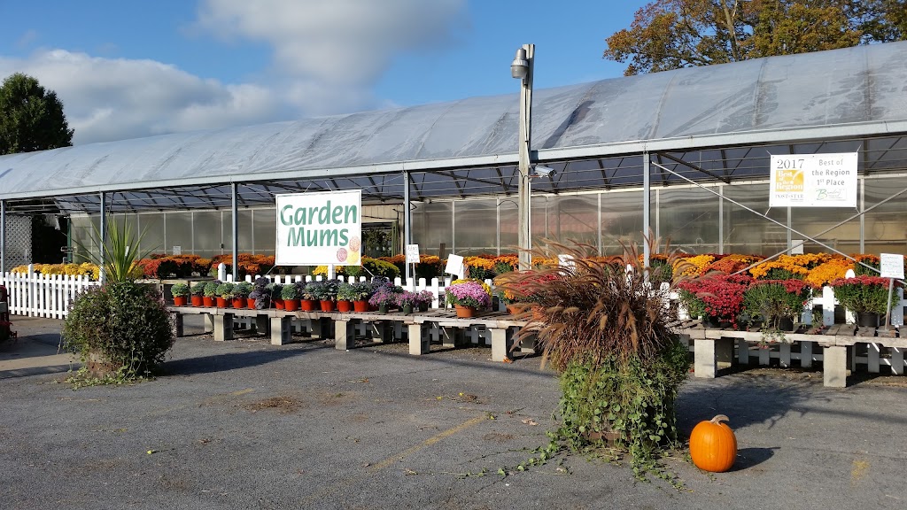 Binley Florist & Garden Center