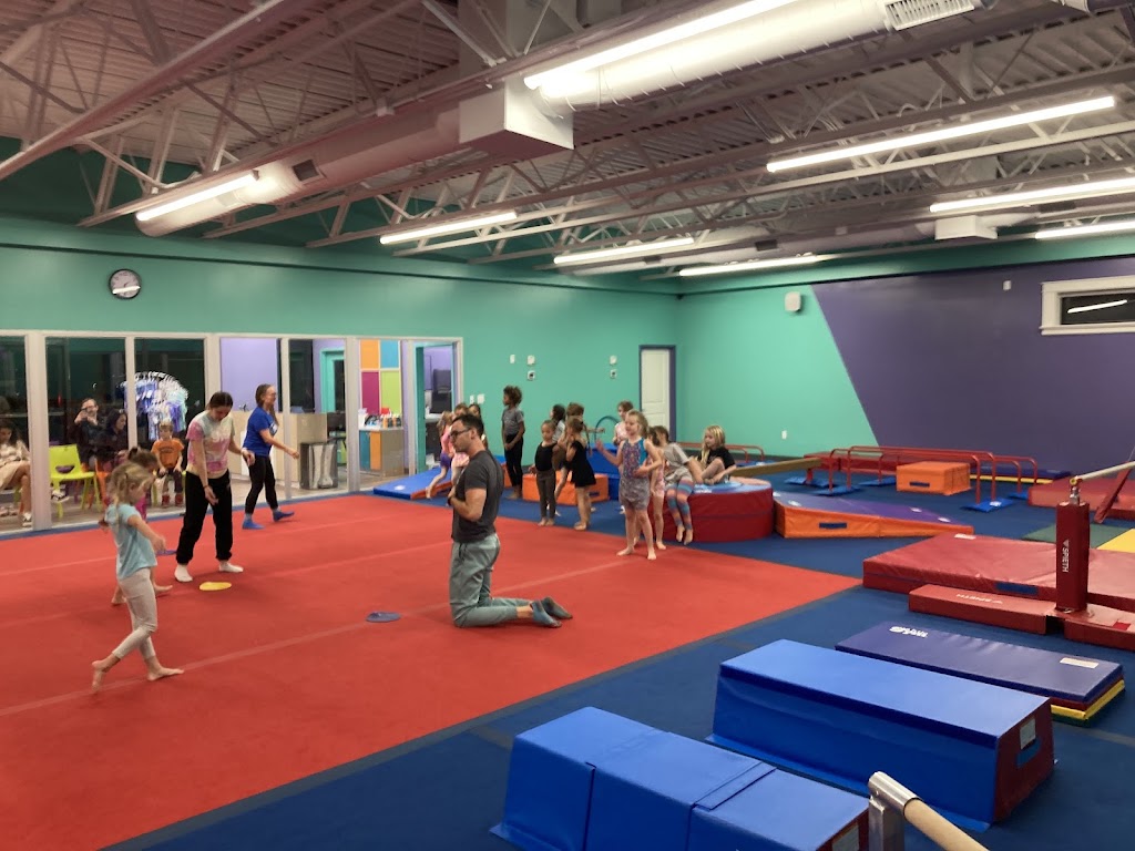  The Little Gym of Cincinnati-Hyde Park