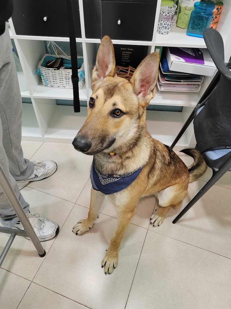 Centro Veterinario Confivet — Del propietario