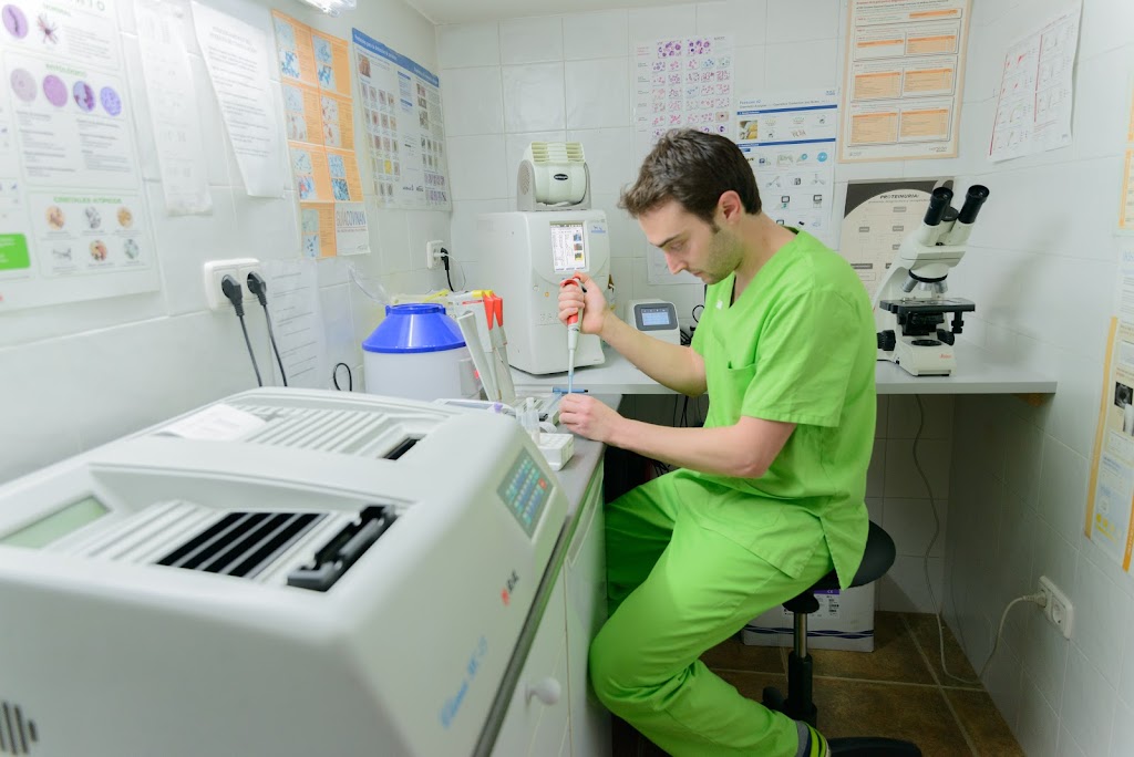 Eliavet Clinica Veterinaria