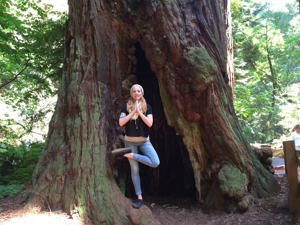  Yoga Mountain Shadows
