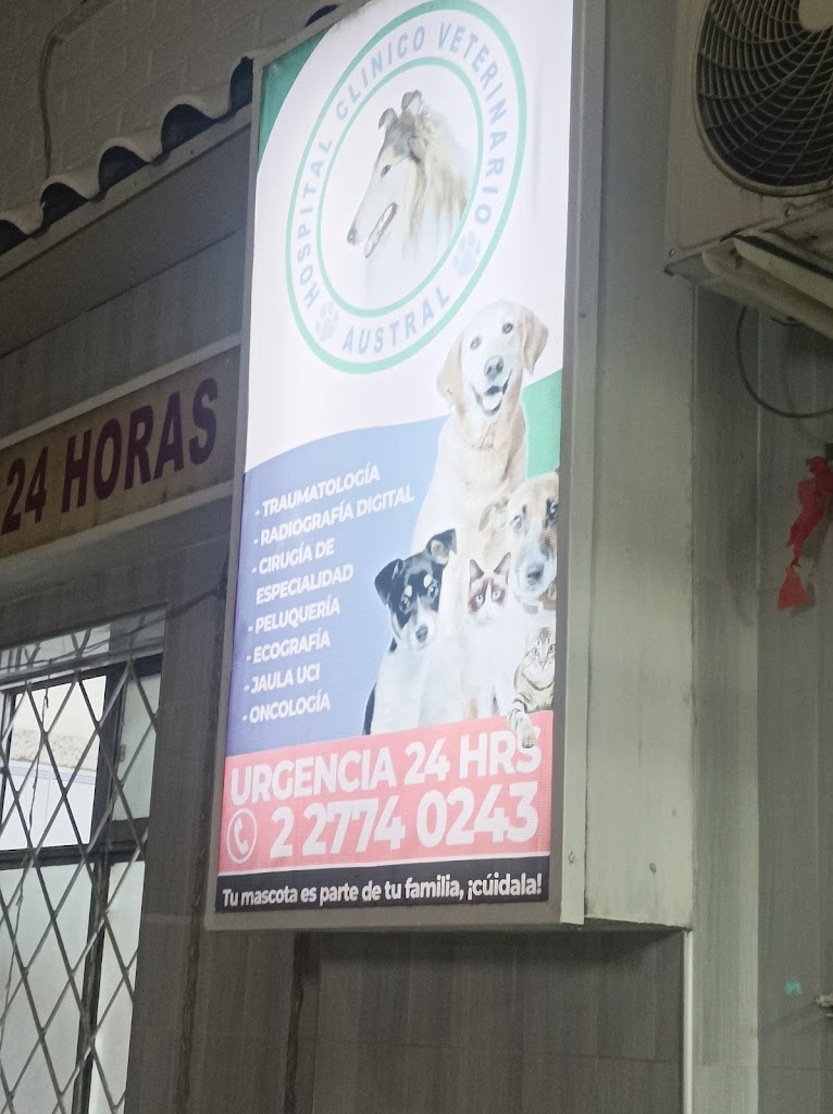 Más recientes