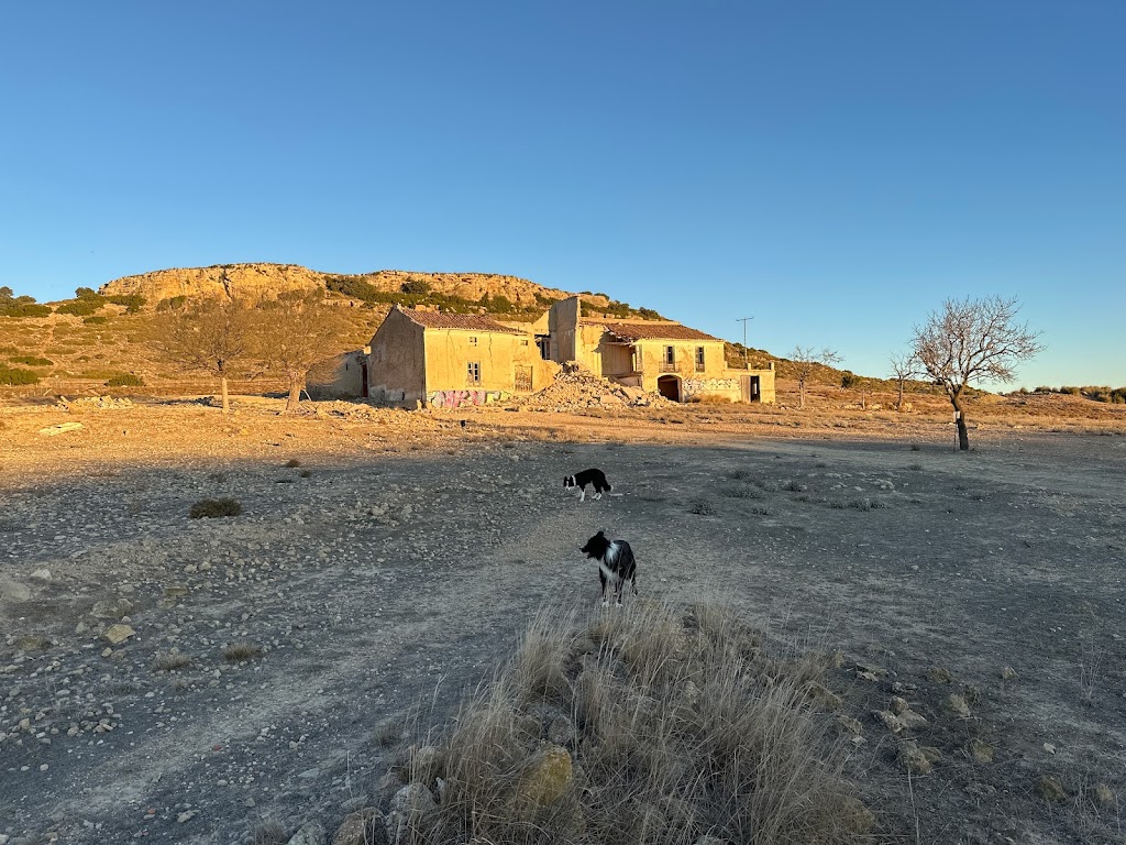 Finca los cabezos Almansa AL