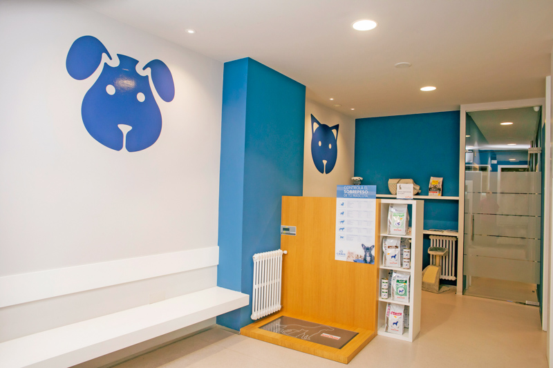 Clinica Canis — Del propietario
