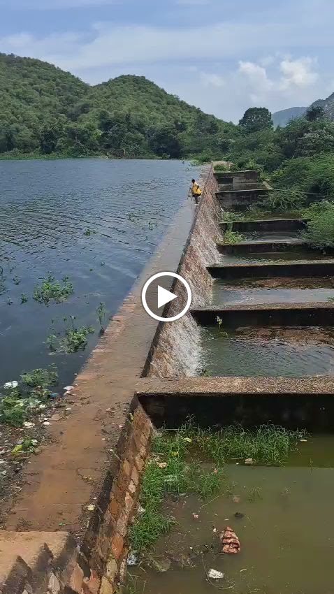 Videos