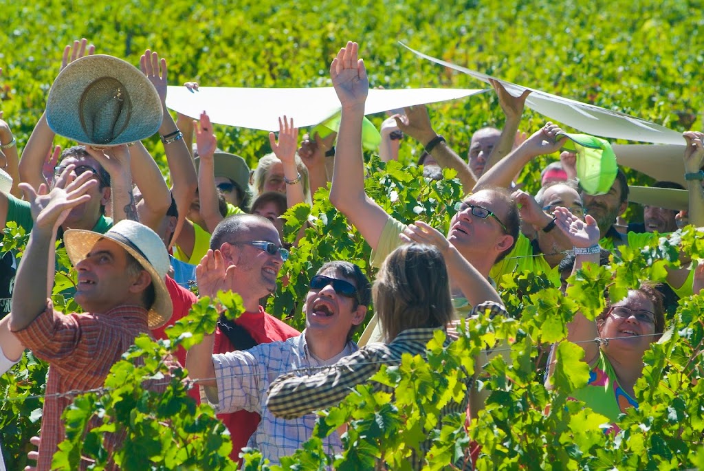 Fundacio Mas Alborna