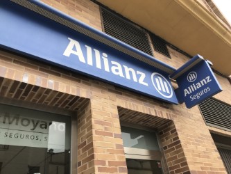 CONSTANZA MOYANO CASTELLANOS - Allianz Seguros.