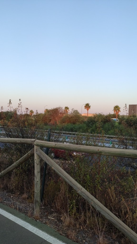 CARPINTERIA NIEVES S.C.A