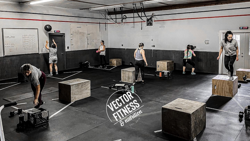  Vector Fitness & Nutrition