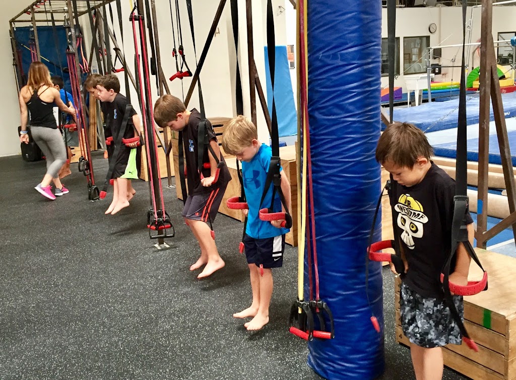  3 Elements Lifestyle