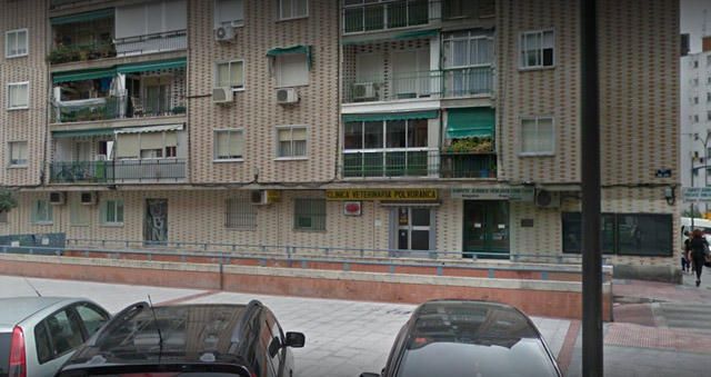 Clinica Veterinaria Polvoranca — Del propietario