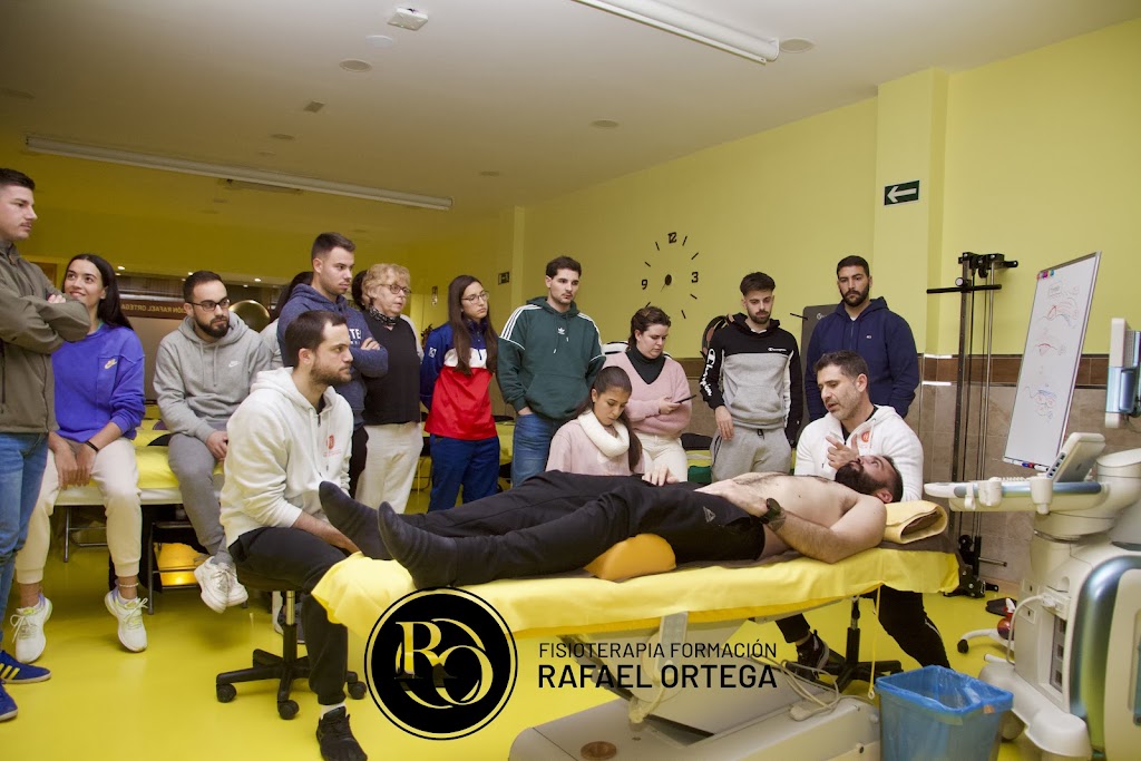 Fisioterapia Formacion