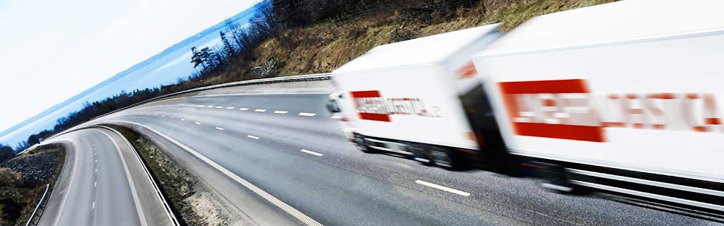 Langarri Logistica, S.L. (Grupo Rhenus)