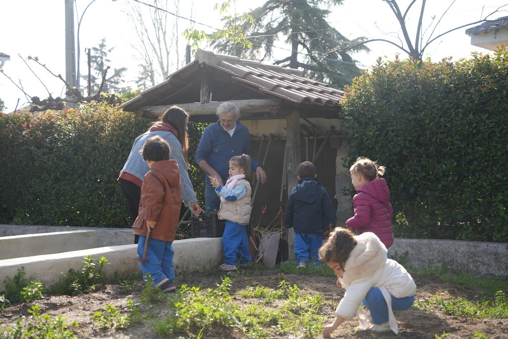 Centro Privado De Educacion Infantil Mi Pequena Granja