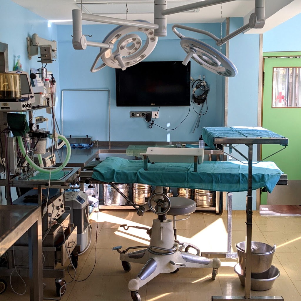 Clinica Veterinaria Elvira — Del propietario