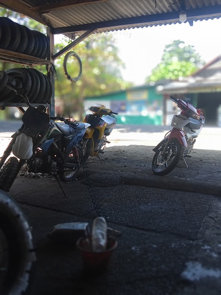 Rimpang mas motor
