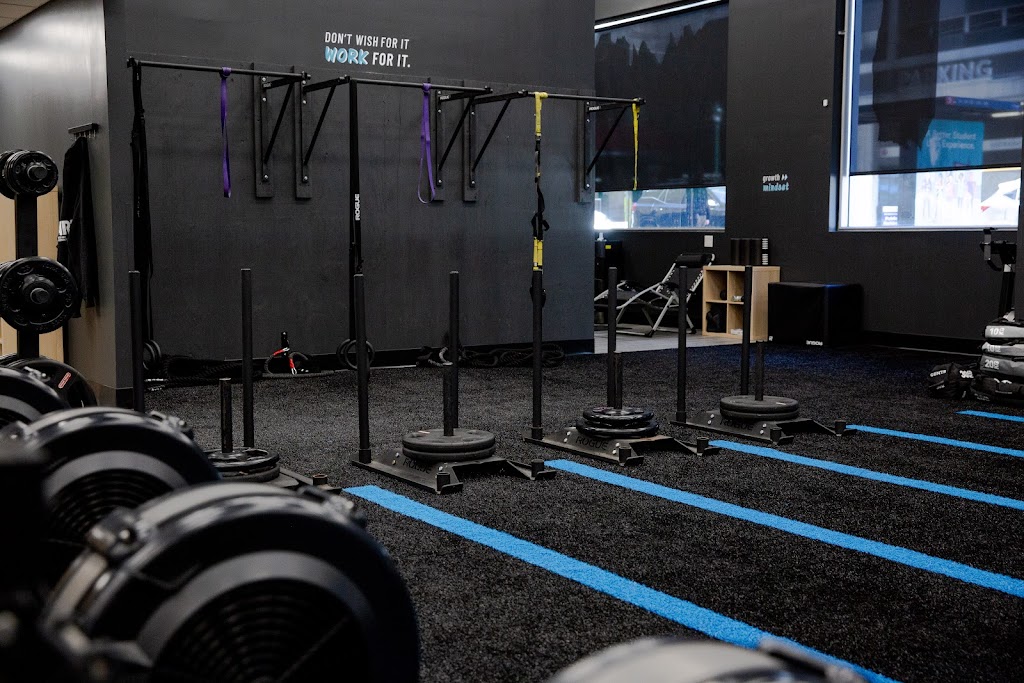  Arena Fitness & Performance