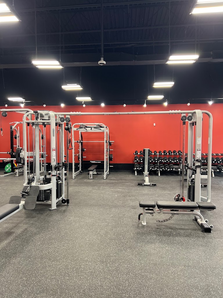  Unrivaled Nutrition + Training