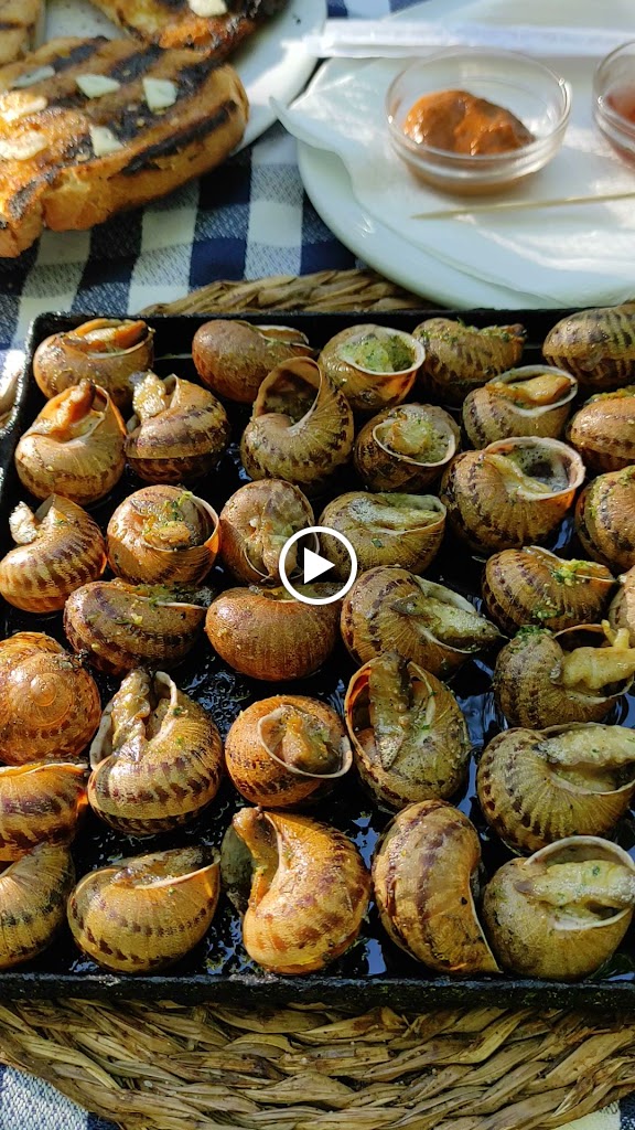 Restaurant Mas del Mogent — Videos