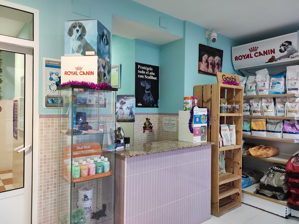 Centro Veterinario Tu Mascota — Del propietario