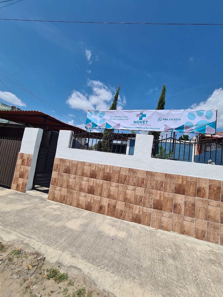 NOVET Clinica Veterinaria — Del propietario