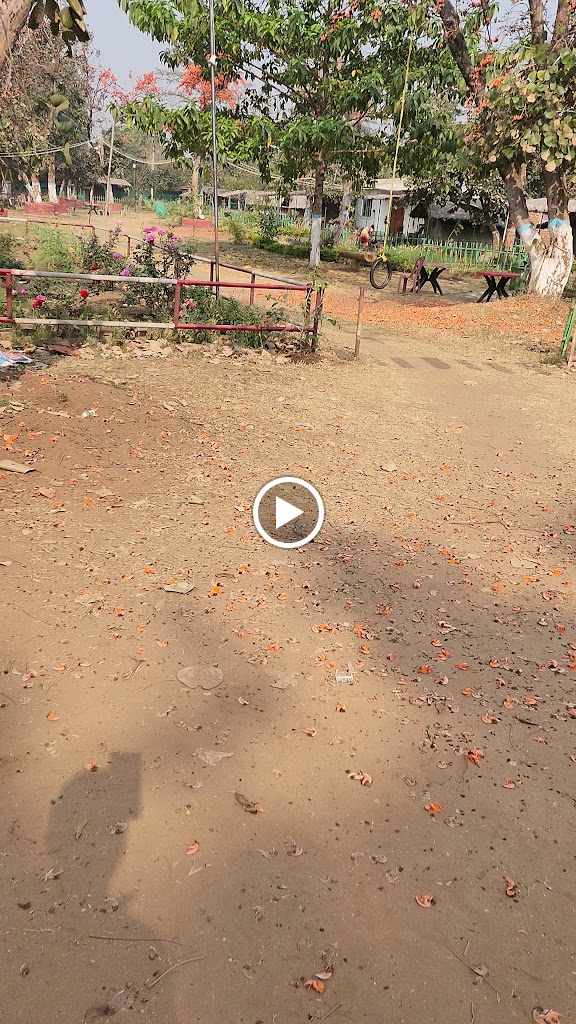 Videos