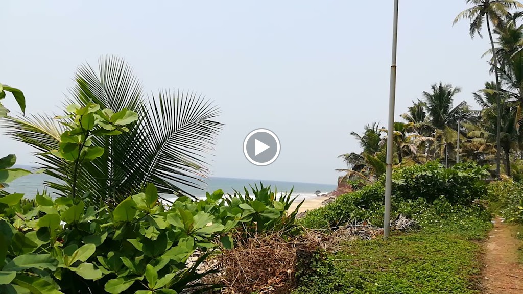Videos