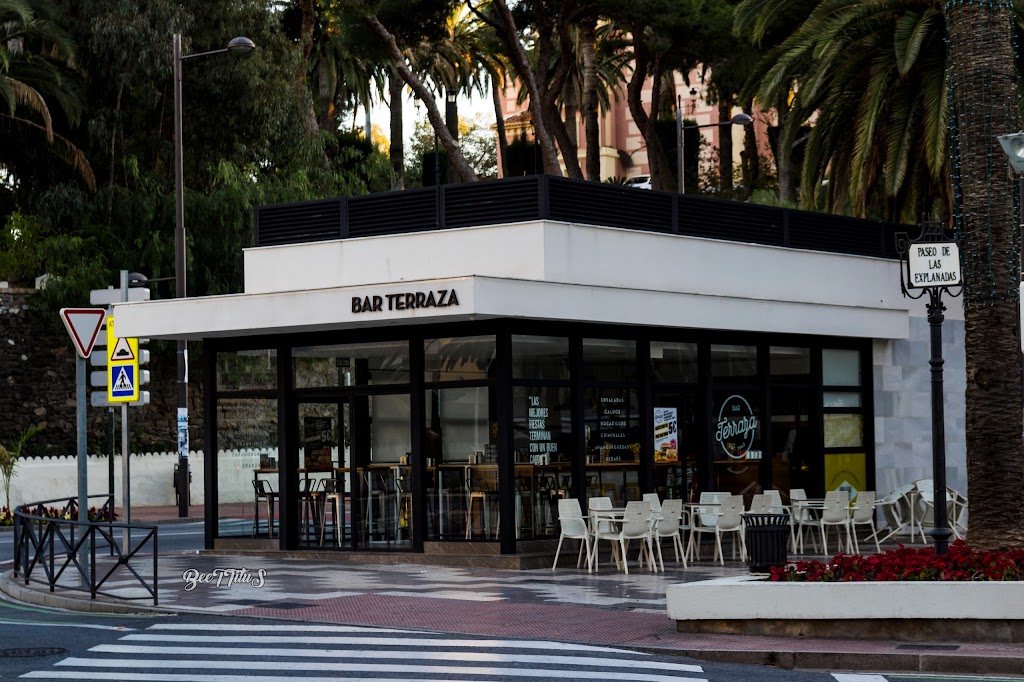 Bar Terraza