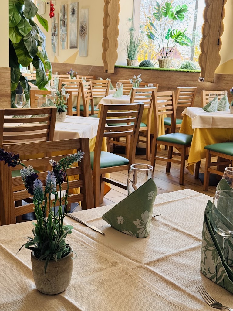EL RINCON DE BUENAVISTA — Ambiente