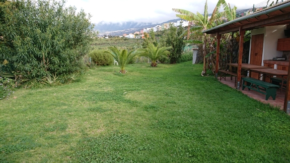 Personal and Group Trainer Tenerife North - Elitsa Ivanova