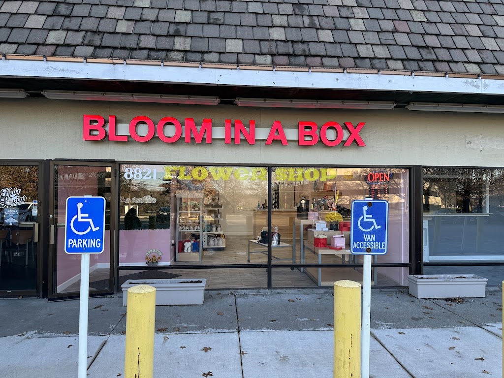 bloominaboxkc