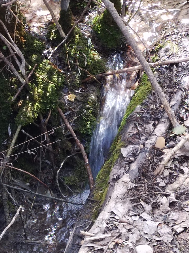 Ruta Molino de las Fuentes